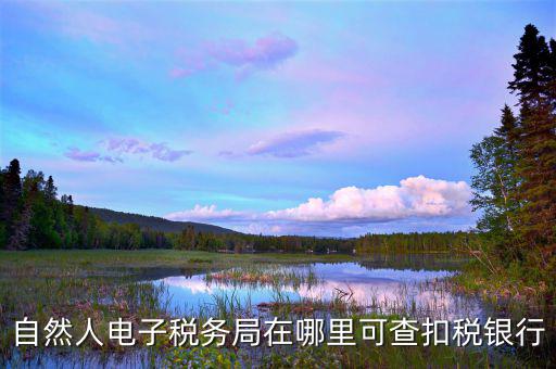 電子稅務(wù)局銀行端查詢什么，天津電子稅務(wù)局如何查詢銀行賬戶備案信息