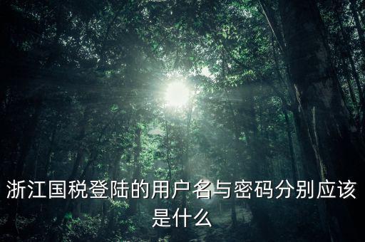 浙江國稅密碼是什么意思，浙江地稅開票軟件中數(shù)據(jù)庫密碼是多少