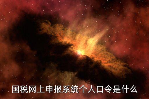 國稅證書口令是什么意思，網(wǎng)上申報國稅系統(tǒng)登陸的口令是什么