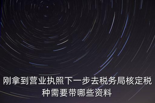 湖北國稅增加稅種需要帶什么資料，企業(yè)報稅種需要帶什么資料