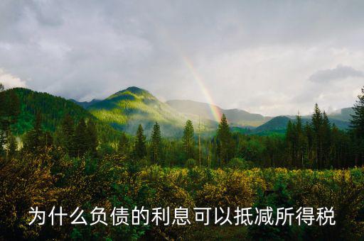 企業(yè)負債時稅率有什么優(yōu)惠，企業(yè)所得稅優(yōu)惠政策有哪些