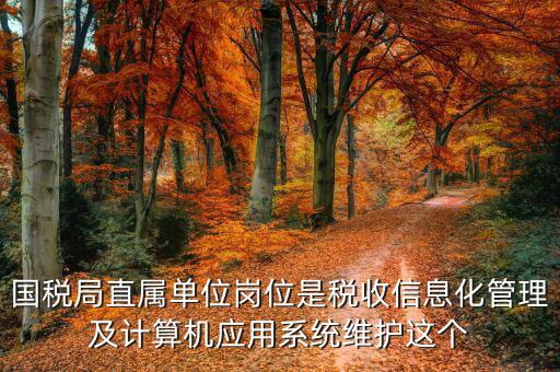 稅收信息化崗位做什么，信息化在稅務(wù)管理中有什么作用