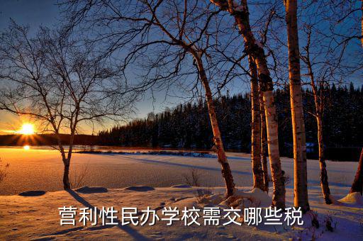 學(xué)校要交什么稅，營(yíng)利性民辦學(xué)校需交哪些稅