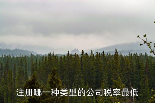 蘇州開什么樣的公司稅率最低，注冊什么類型的公司交稅最少