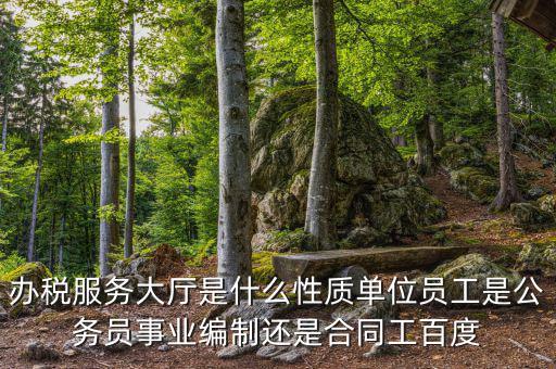 什么是辦稅服務(wù)大廳，辦稅服務(wù)廳的基本服務(wù)包括哪些
