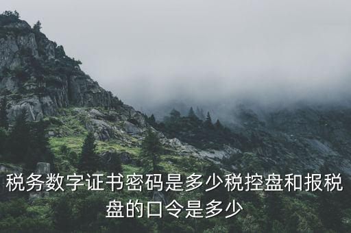國稅申報ca默認密碼是什么意思，國家稅務總局網(wǎng)上辦稅服務廳初始密碼是什么