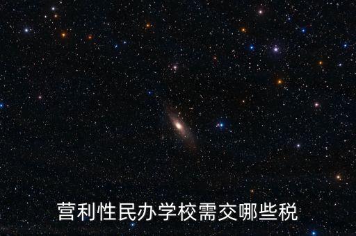 營利性民辦學校需交哪些稅