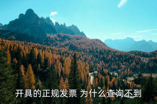開(kāi)具的正規(guī)發(fā)票 為什么查詢不到