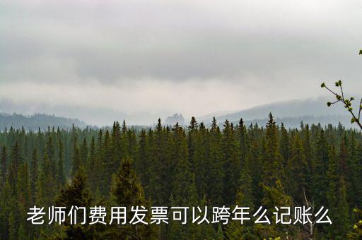 什么發(fā)票可以跨年入賬，增值稅專用發(fā)票可以跨年做賬嗎