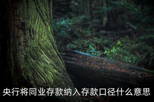 業(yè)務口徑是什么意思，銀行說的十四行口徑是什么意思