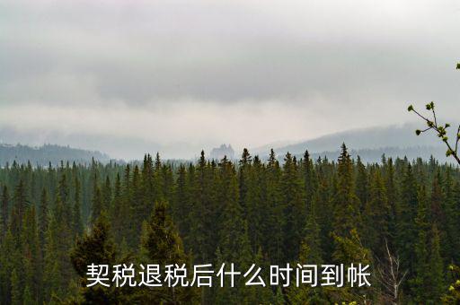 退稅款什么時候到賬，出口退稅款一般多久到賬