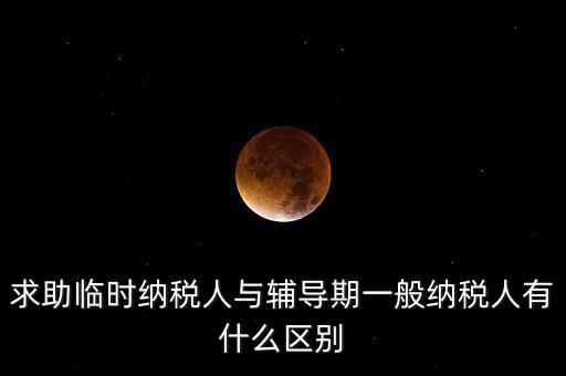 什么是臨時納稅人，臨時一般納稅人是什么意思