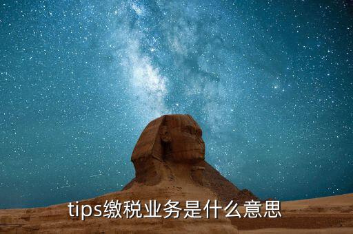 地稅tips繳款是什么意思，tips扣稅是什么意思