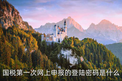 國稅網(wǎng)報口令是什么，國稅第一次網(wǎng)上申報的登陸密碼是什么