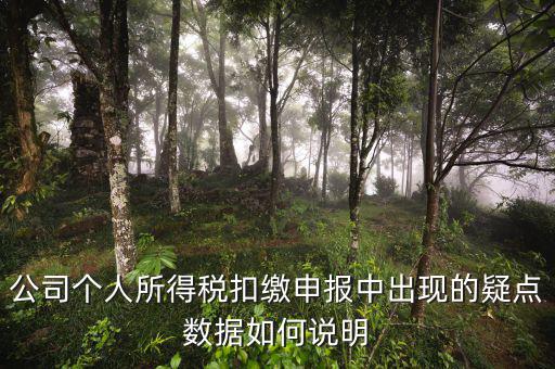 公司個人所得稅扣繳申報中出現的疑點數據如何說明