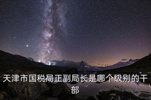 國稅局副局長是什么級別，天津市國稅局正副局長是哪個級別的干部