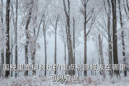 重點(diǎn)稅源預(yù)測網(wǎng)址是什么，國稅里面申報(bào)過的重點(diǎn)稅源報(bào)表在哪里可以查詢