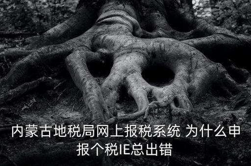為什么內(nèi)蒙古國地稅網(wǎng)進(jìn)不去，windows7內(nèi)蒙古地稅報稅系統(tǒng)顯示無法顯示該網(wǎng)頁