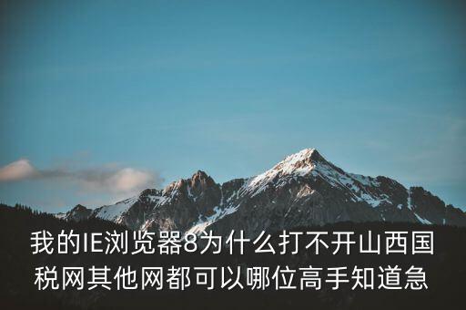 我的IE瀏覽器8為什么打不開(kāi)山西國(guó)稅網(wǎng)其他網(wǎng)都可以哪位高手知道急