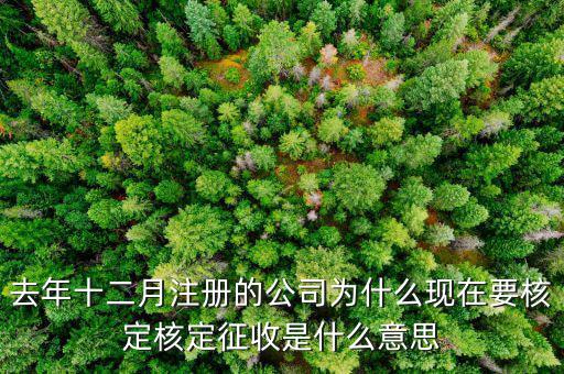 為什么核定征收收據(jù)，查賬征收為什么會轉(zhuǎn)為核定征收