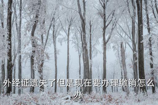 外經證遺失了但是現(xiàn)在要辦理繳銷怎么辦
