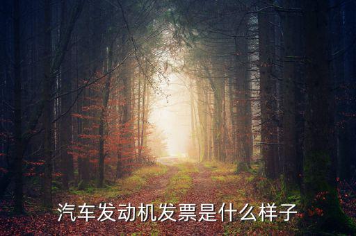 國稅出的機(jī)動(dòng)車發(fā)票是什么樣的，汽車發(fā)動(dòng)機(jī)發(fā)票是什么樣子