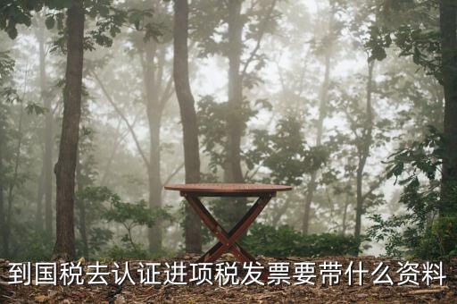 常州國(guó)稅認(rèn)證發(fā)票需要帶什么，到國(guó)稅認(rèn)證發(fā)票時(shí)需要帶什么資料