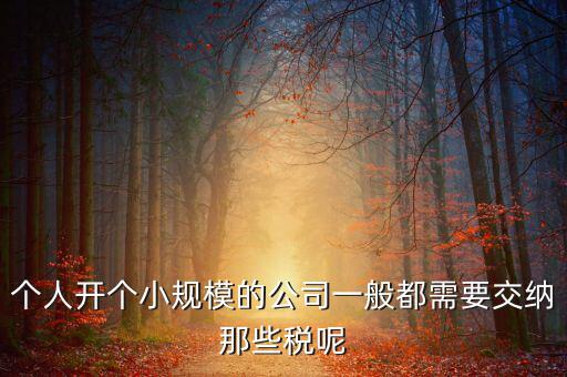 個(gè)人開(kāi)辦水廠需要什么稅，自來(lái)水公司的水廠要交房產(chǎn)稅和土地使用稅嗎
