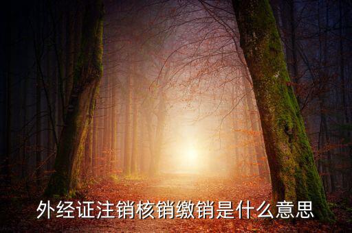 外經證注銷核銷繳銷是什么意思