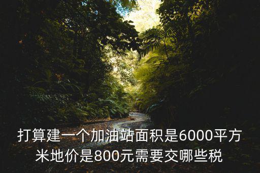 加油站都繳什么稅，打算建一個(gè)加油站面積是6000平方米地價(jià)是800元需要交哪些稅