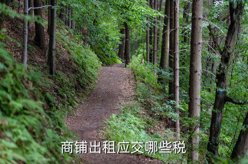 租賃門(mén)市應(yīng)該繳納什么稅，商鋪出租應(yīng)交哪些稅