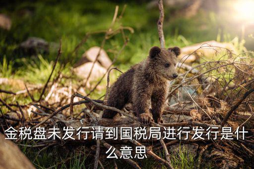 金稅盤未發(fā)行請(qǐng)到國稅局進(jìn)行發(fā)行是什么意思