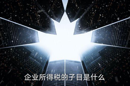 企業(yè)所得稅征收品目是什么，征收品目是什么