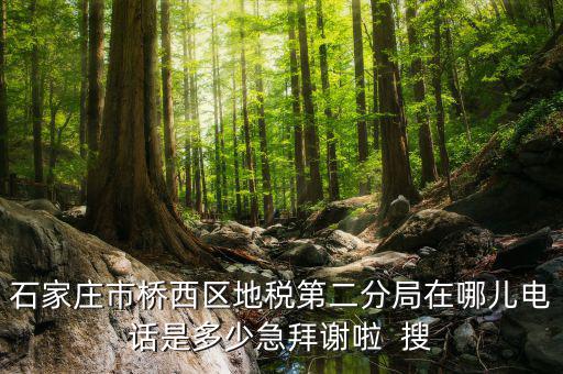 地稅二分局是做什么的，地稅科查局是做什么的