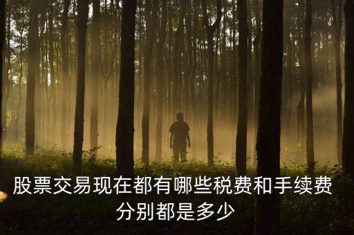 賣出股票要交什么稅，營改增后企業(yè)買賣股票應按照什么稅目繳納增值稅