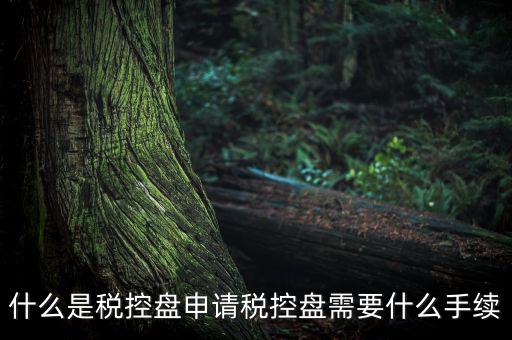 稅控盤制證是什么，去稅務局辦理稅控盤需要什么資料流程怎么走呢