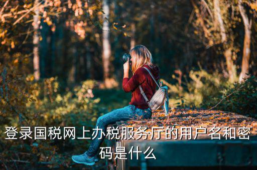 陜西電子稅務(wù)局登錄賬號是什么，登錄國稅網(wǎng)上辦稅服務(wù)廳的用戶名和密碼是什么