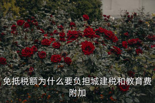 免抵稅額為什么要負(fù)擔(dān)城建稅和教育費附加