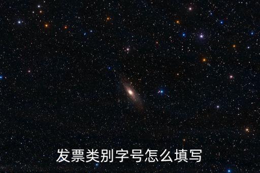 餐飲發(fā)票是什么字體，發(fā)票類(lèi)別字號(hào)怎么填寫(xiě)