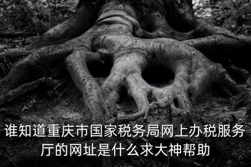 重慶稅務(wù)網(wǎng)站是什么，那個小型企業(yè)網(wǎng)上申報稅務(wù)的網(wǎng)站是多少啊發(fā)了一張流程表上