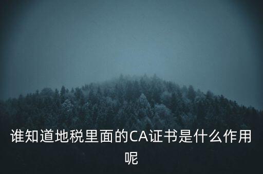 地稅的ca證書是什么，什么是聯(lián)通ca證書地稅ca證書