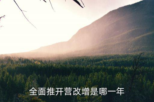 17年營改增改了什么時候，全面推開營改增是哪一年