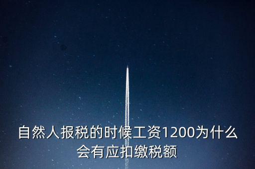 自然人報(bào)稅為什么，自然人辦稅服務(wù)平臺(tái)實(shí)名注冊的目的是什么