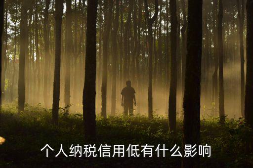 納稅信用記錄是什么，金稅三期納稅信用管理是什么意思