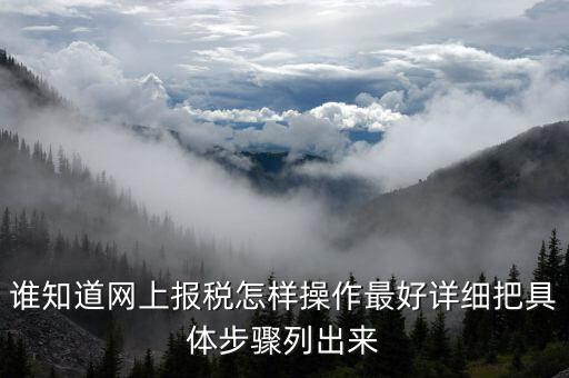 成品油消費(fèi)稅在什么系統(tǒng)申報，請教網(wǎng)上報稅步驟謝謝大家了