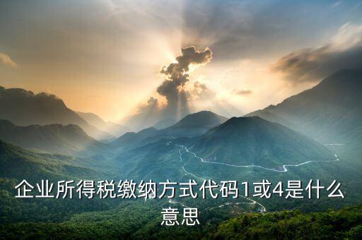 征收代碼是什么意思，工商所開的非稅收入收款收據(jù)上的代碼是什么意思