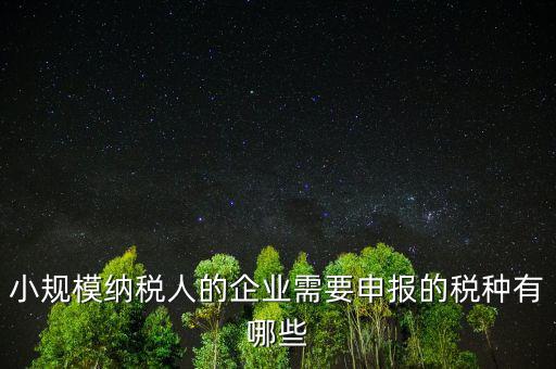 國(guó)稅小企業(yè)報(bào)什么稅，無(wú)錫 一般納稅人 小企業(yè)納稅人 國(guó)稅 地稅 分別要報(bào)哪些