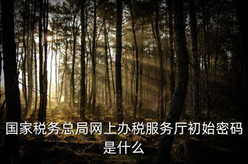 江蘇地稅登錄密碼是什么意思，江蘇地稅開票密碼是多少