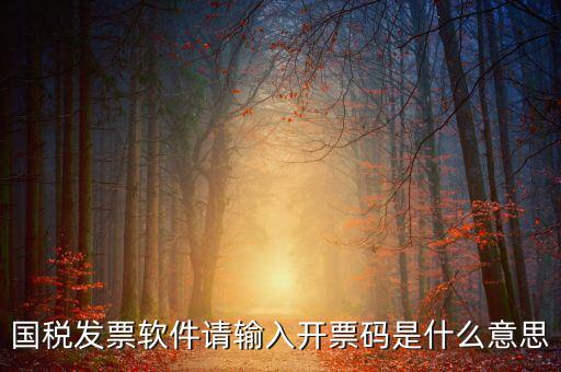 開票二維碼是什么軟件，天津國稅通用機(jī)打發(fā)票二維碼包含的內(nèi)容解碼軟件