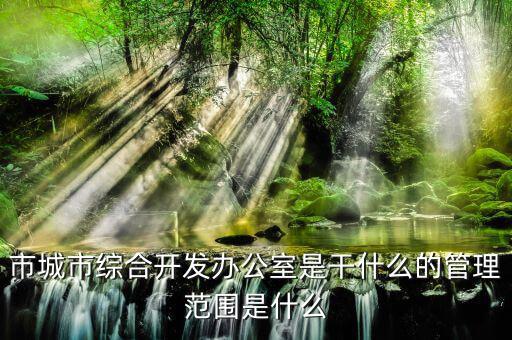 市通發(fā)辦是什么，市兩辦指什么